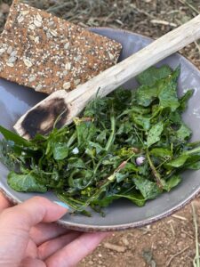 Foraging wild food- delicious salad from wild edibles
